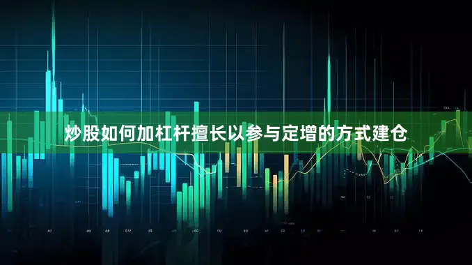炒股如何加杠杆擅长以参与定增的方式建仓