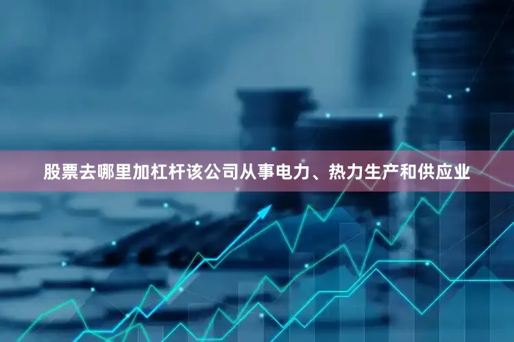 股票去哪里加杠杆该公司从事电力、热力生产和供应业